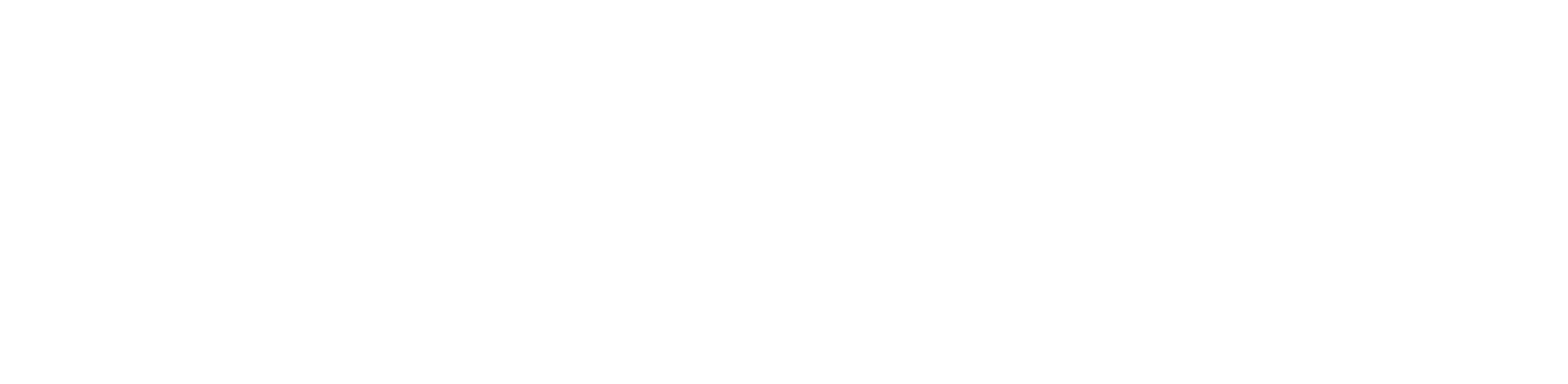 Pontual.mx Tecnología de Negocio